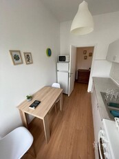 Apartament 2 camere in centrul orasului Cluj Napoca