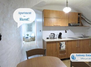 Apartament la casa de inchiriat, 1 Camera, Decomandat, Central, Oradea