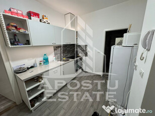 Apartament la curte, zona Simion Barnutiu/Take Ionescu