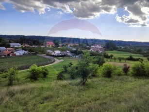 Teren de vanzare Vedea, zona centrala