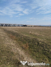 Teren extravilan 4300mp Calea Surii Mici - Autostrada