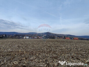 Teren intravilan de vanzare in Salicea, 3000 MP