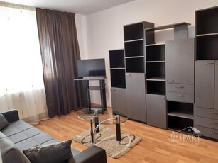 Vanzare apartament cu 1 camera in Manastur!