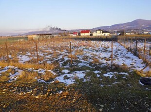 Teren 1,016mp Sighetu Marmatiei / Strada Doboies