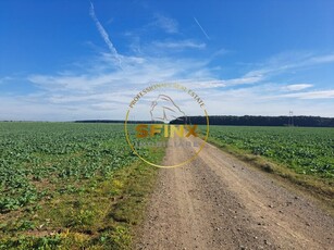 Teren Ilfov teren intravilan Branesti 27000 mp km 12 Autostra