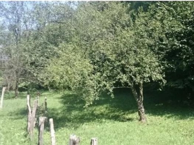 TEREN 2574 MP, INTRAVILAN, CAMPULUNG MUSCEL ,10000 Euro