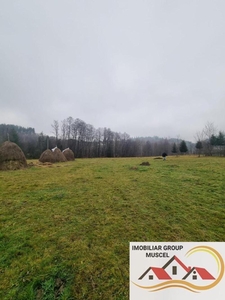 Teren intravilan 5800 mp Bughea de Sus - Arges , Pret 59.000 euro