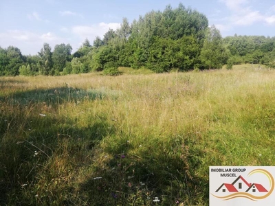 Teren intravilan 5819 mp Campulung Muscel,zona Valea Barbusii Pret 24000 euro