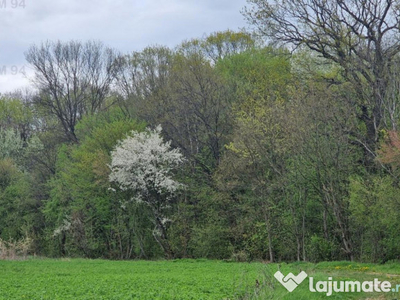 Teren pentru casa 1000 mp | LANGA PADURE | deschidere 36 ml