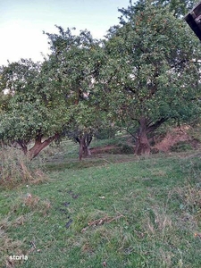 Strada Agnes metrou Leonida 2 camere.