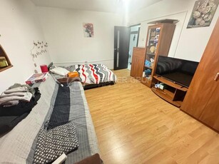 Apartament 1 camera, Pod de Fier, 35mp