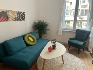 Apartament 2 camere ultracentral in vila | 2 bai |