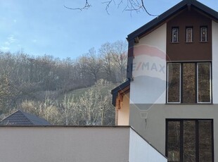 Casa de vanzare in zona Valea Rosie/PARCUL MARE-2025