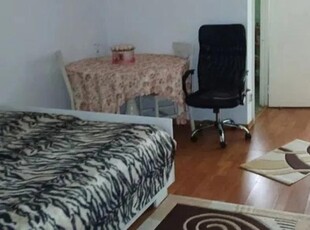 De vanzare apartament, 1 camera, decomandat, 23 mp, Nicolina, Gara Internationala, Cod 157582