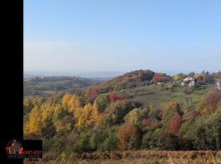 Oportunitate unica! Casa traditionala cu 70 de ari teren, panorama superba spre