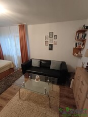 Regele Mihai Parter Apartament o Camera