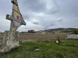 Teren de vanzare Onesti - Calea Bacaului