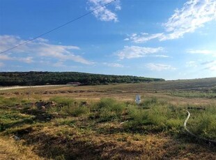 Teren intravilan,la inelul metropolitan,Haieu,Sanmartin.