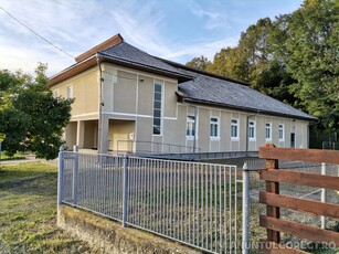 Vând casă P+1 446mp în Ocoliș, Maramureș, teren 1000mp