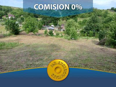 0% COMISION - Teren intravilan in Sat Calinesti, Comuna Mischii 4700 mp