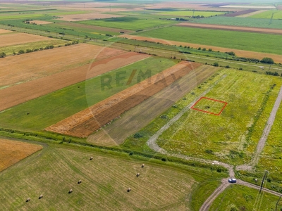 Teren Agricol, Intravilan vanzare, in Arad, Nord