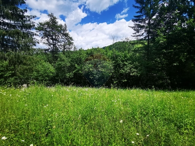 Teren Construcții, Intravilan vanzare, in Neamt, Oantu