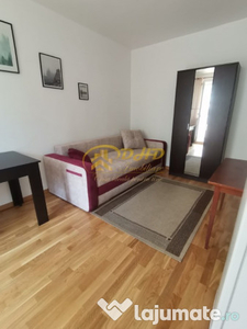 Apartament cu o camera curat, mobilat - Podu Ros, Palas