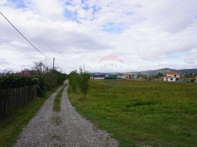 Teren 6,458mp Sighetu Marmatiei / Strada Doboies