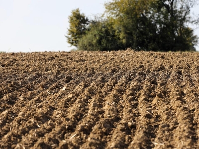 Vand Teren Agricol comuna Dragoesti - Judetul Ialomita