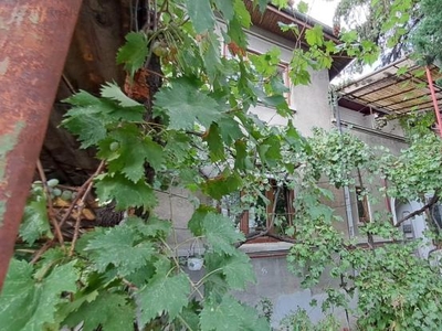 Vanzare casa/vila, Vatra Luminoasa, Bucuresti