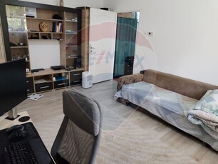 Apartament 1 camera inchiriere in bloc de apartamente Cluj-Napoca, Horea