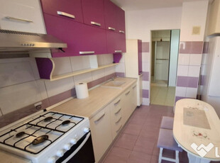 Apartament 2 camere D, , in Nicolina , LIDL, NOU RENOVAT