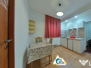 Apartament cu 1 camera, la vila, in Vlaicu