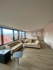 Apartament de inchiriat cu 2 camere semidecomandate, PETFRIEDNLY, zona Gruia, Cluj Napoca S18393