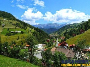 Casa pe 1.000 mp teren, Moieciu, Brasov