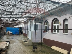 Casavila 3 camere vanzare in Dolj, Racarii de Jos