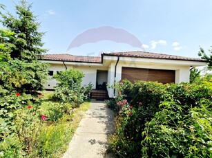 Casavila 4 camere vanzare in Dolj, Preajba