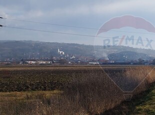 Teren Agricol, Intravilan vanzare, in Salaj, Sarmasag