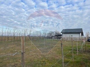 Teren Construcții, Intravilan vanzare, in Bucuresti Ilfov, Vidra