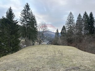 Teren Construcții, Intravilan vanzare, in Neamt, Stejaru (Pangarati)