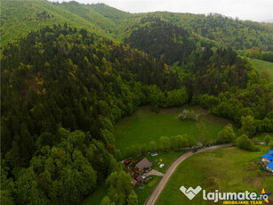 LIVE!Refugiu in inima naturii:Cabana sub aripa padurii si cu