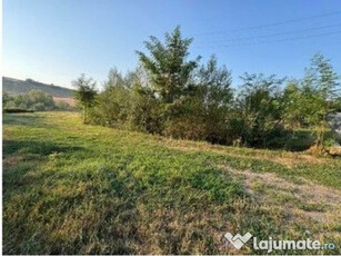 Teren partial intravilan Romani, judetul Neamt, ID: R2326723