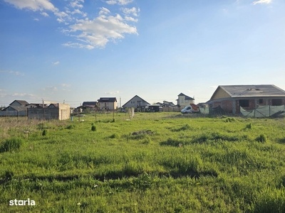 Teren lot de casa intabulat GAZ si curent comuna Berceni Ilfov