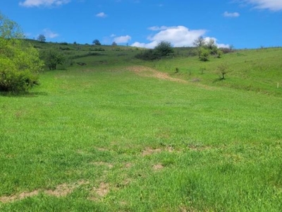 Teren zona com. Sanpaul, jud. Cluj , Cluj