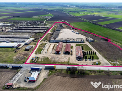 4,2 ha Teren DN7 Nădlac pentru Parc Logistic