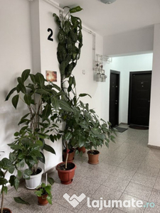 Aparatorii patriei oltenitei apartament