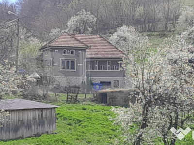 Casa individuala, 5500 mp teren, zona Vintu de Jos, Inuri