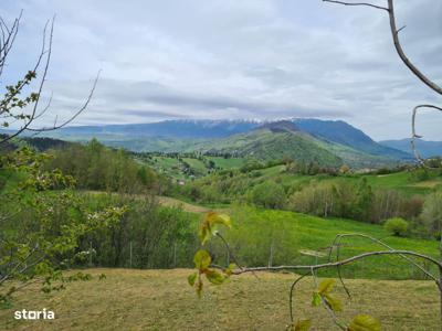 Teren intravilan de vanzare in Bran