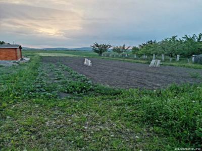 Téren intravilan in Chichis