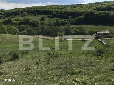 Teren intravilan in zona Roata Faget